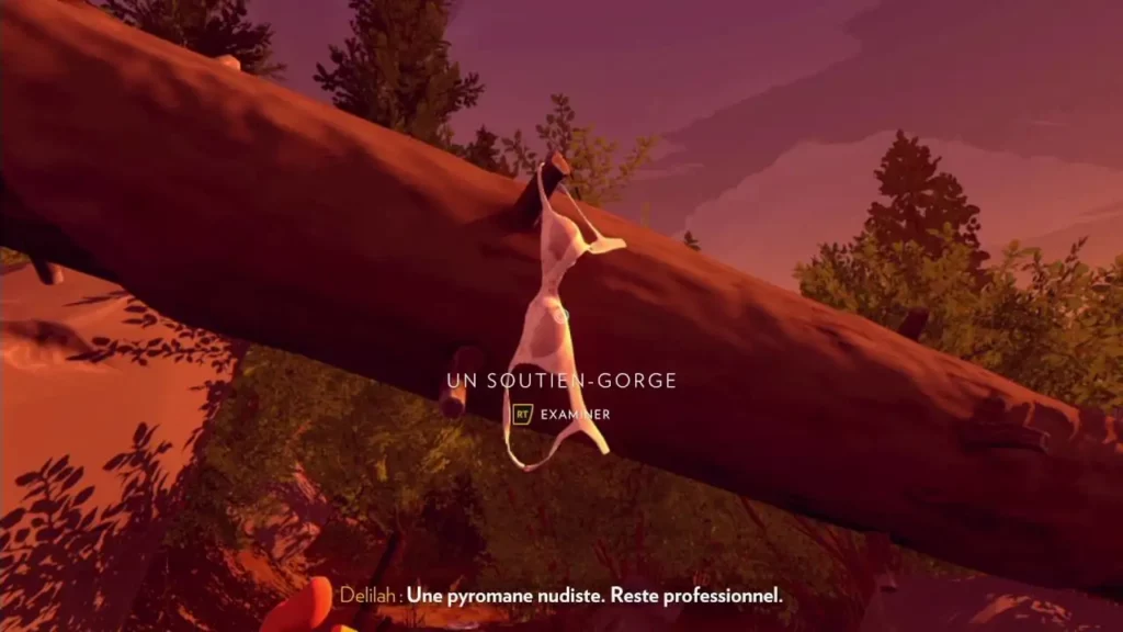 firewatch4