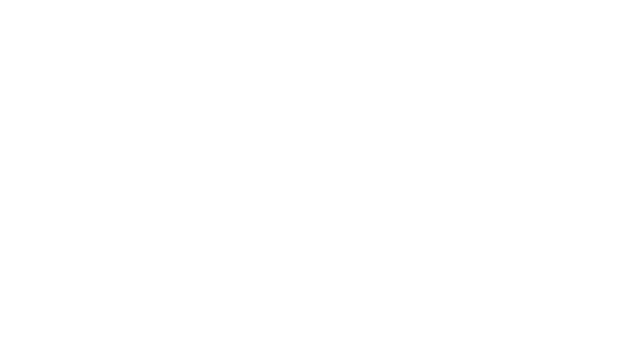 bird story logo