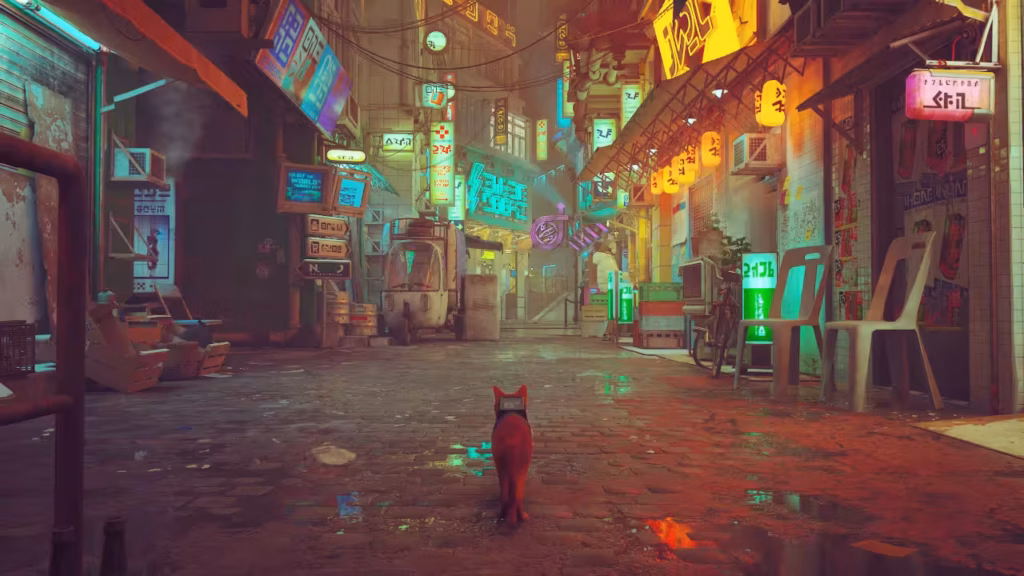 stray 01_dans la rue