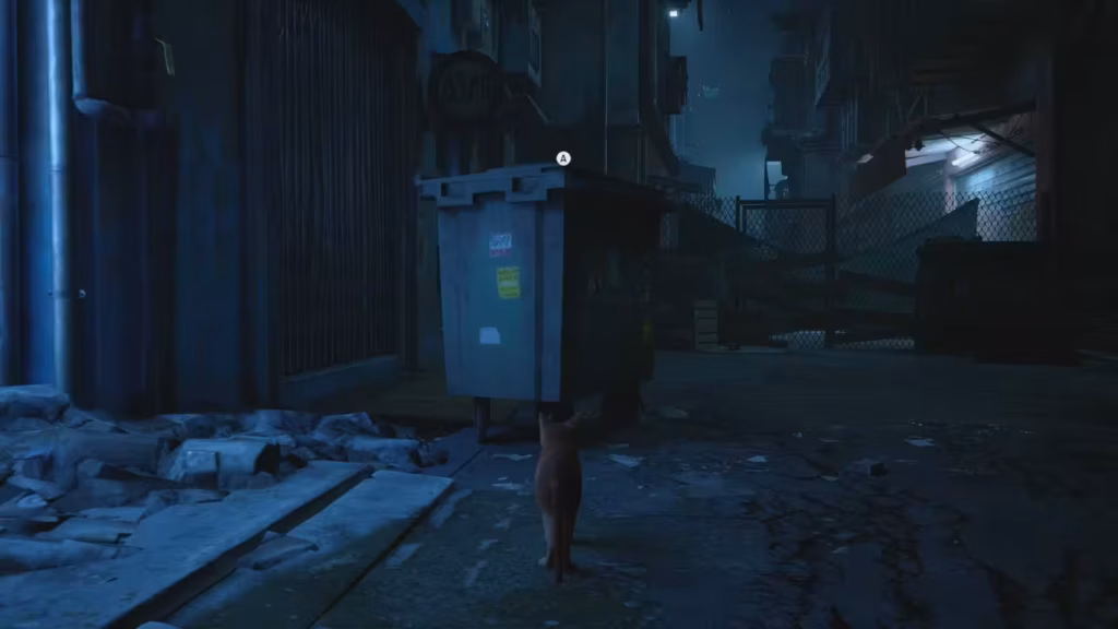 stray 06_saut