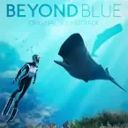 Beyond Blue OST cover