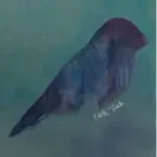 What-Remains-Of-Edith-Finch-Vinyle-marron